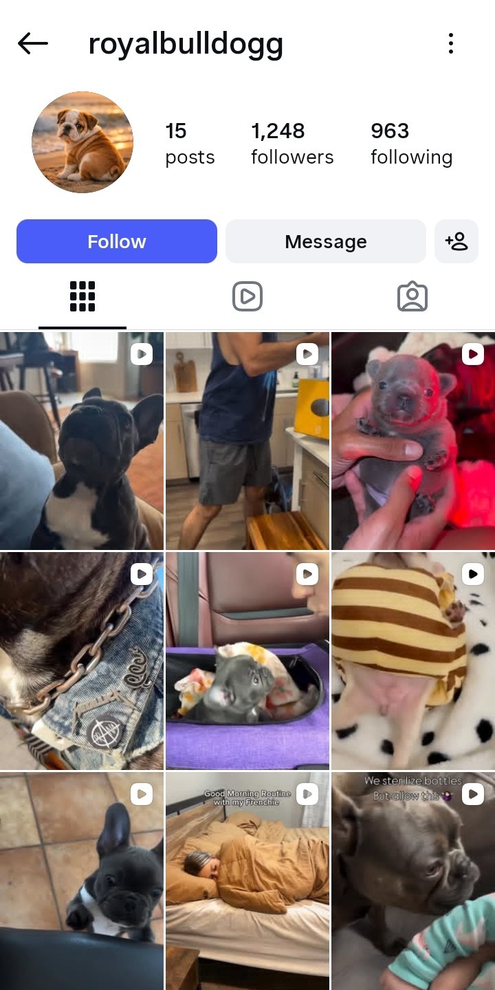 Instagram Page Business For Sale