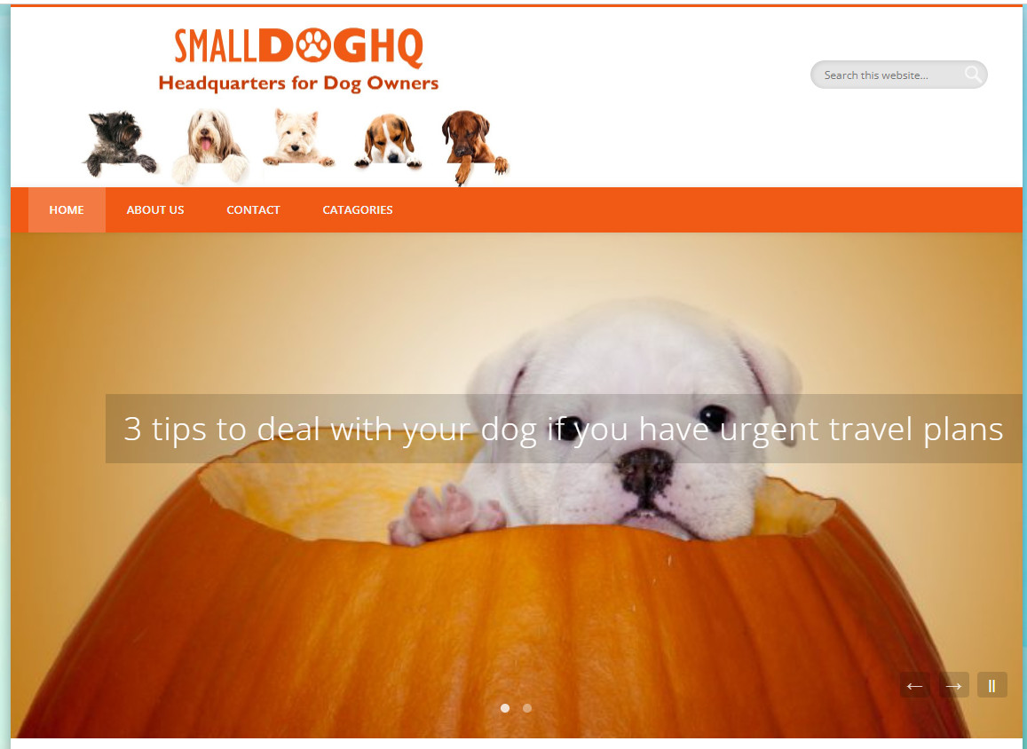 Dog Pet website blog for sale, established + Domain name + Free Hosting