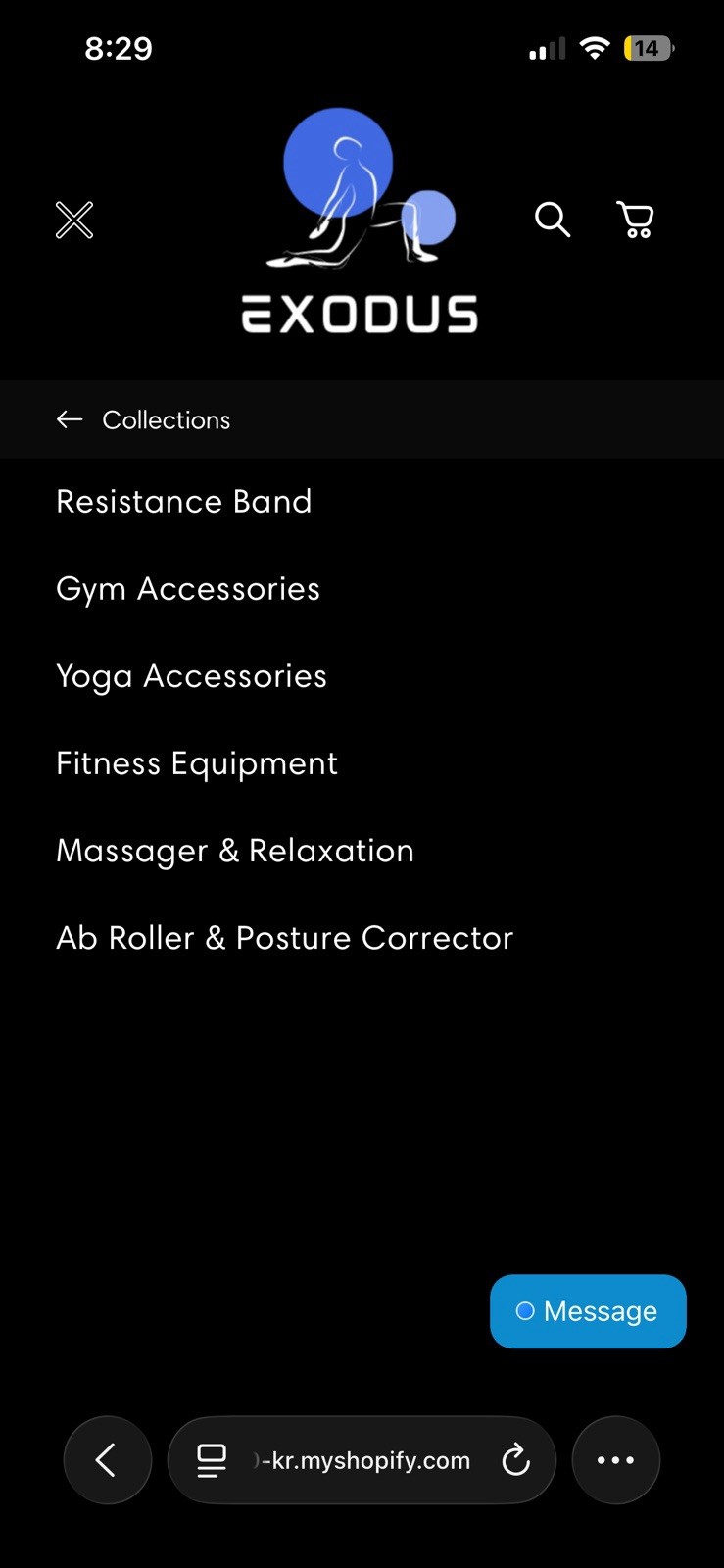 Pre Made, Drop shipping Shopify Store (fitness Theme) (40 Products)