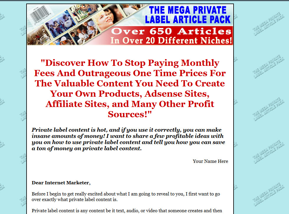 Selling PLR E books, Guides & Courses Plus Splash Pages Make Cash Online Bundle