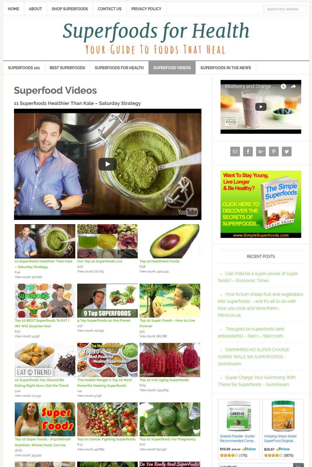 * SUPERFOODS * health blog niche website business for sale AUTOMATIC CONTENT!