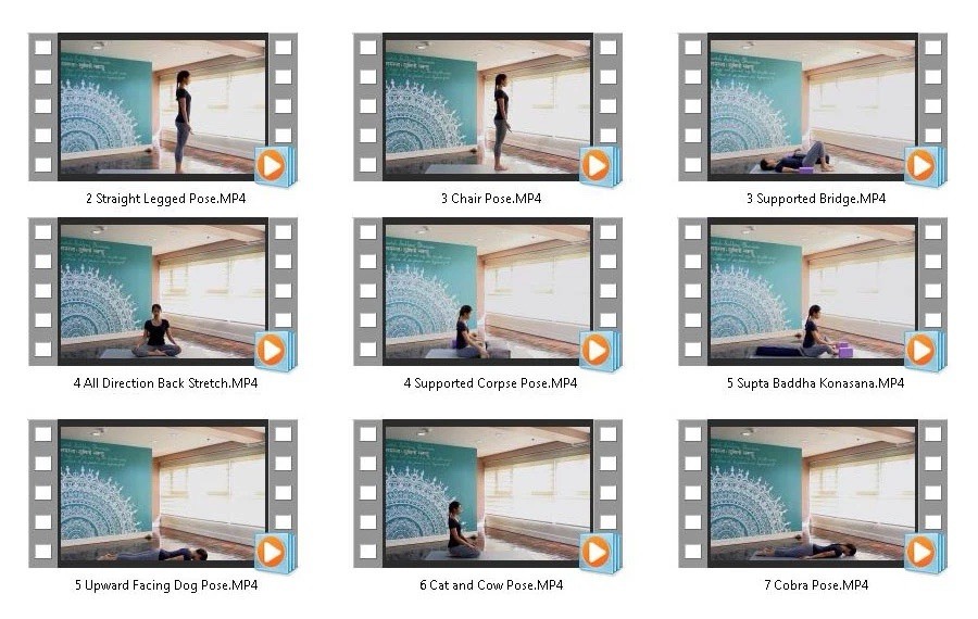 Absolute Yoga Video Course + Poses Videos