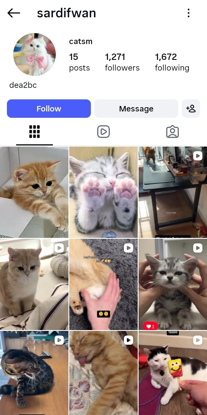 Instagram Page Business For Sale