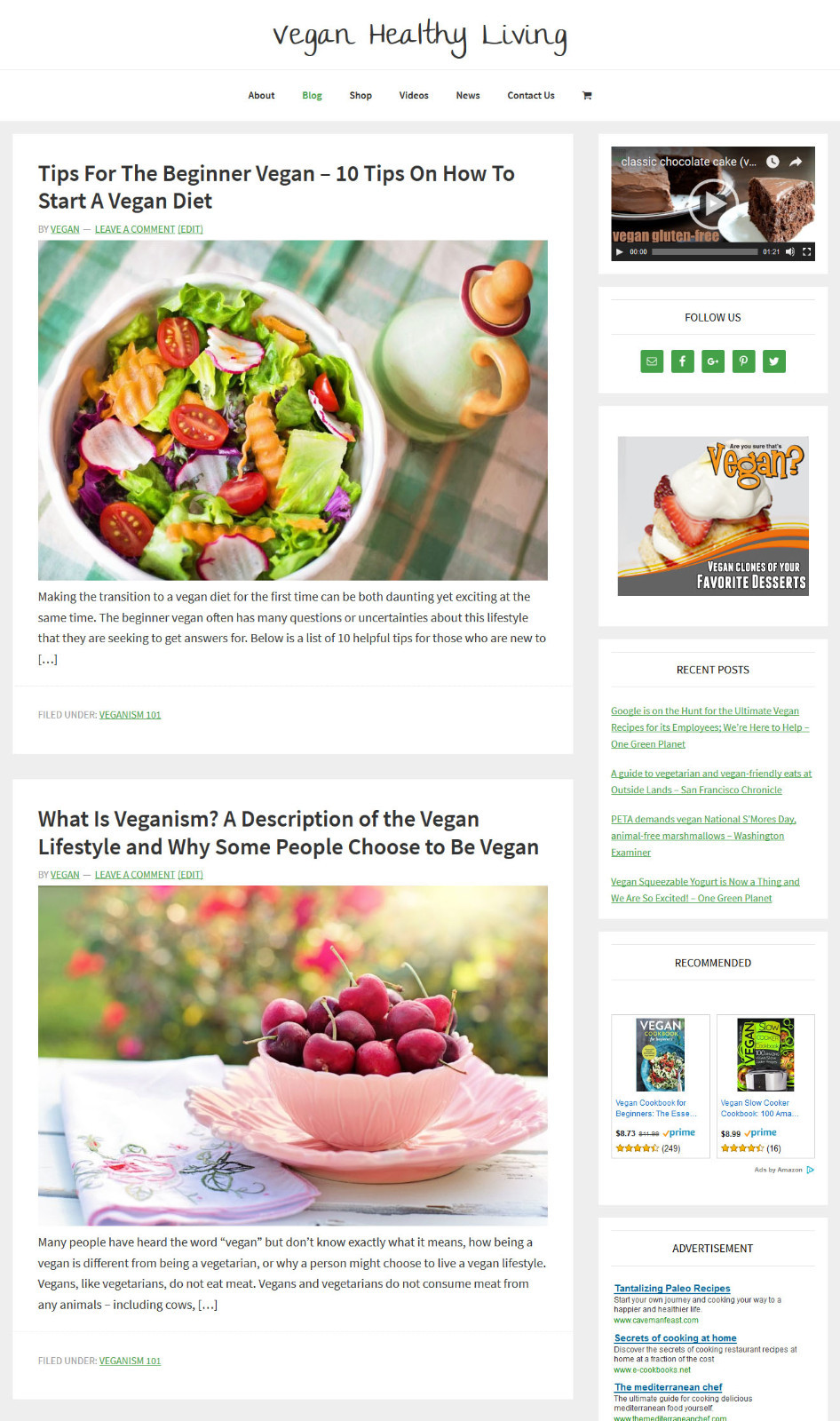 * VEGAN HEALTH * store blog affiliate website business for sale AUTO CONTENT