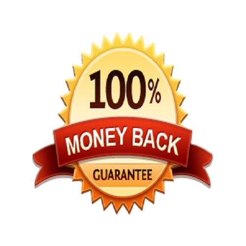 750,000 Real Visitors and SEO Submit Website Web Advertising