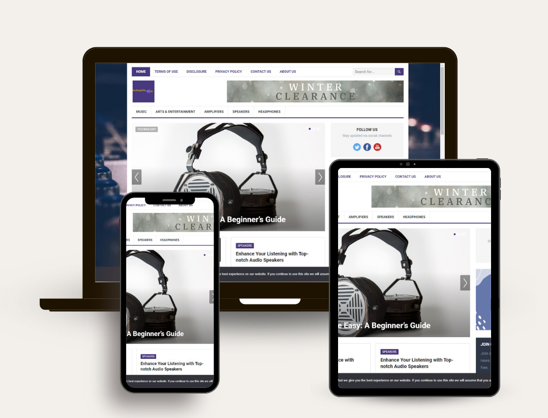 DFY NICHE WORDPRESS SITE