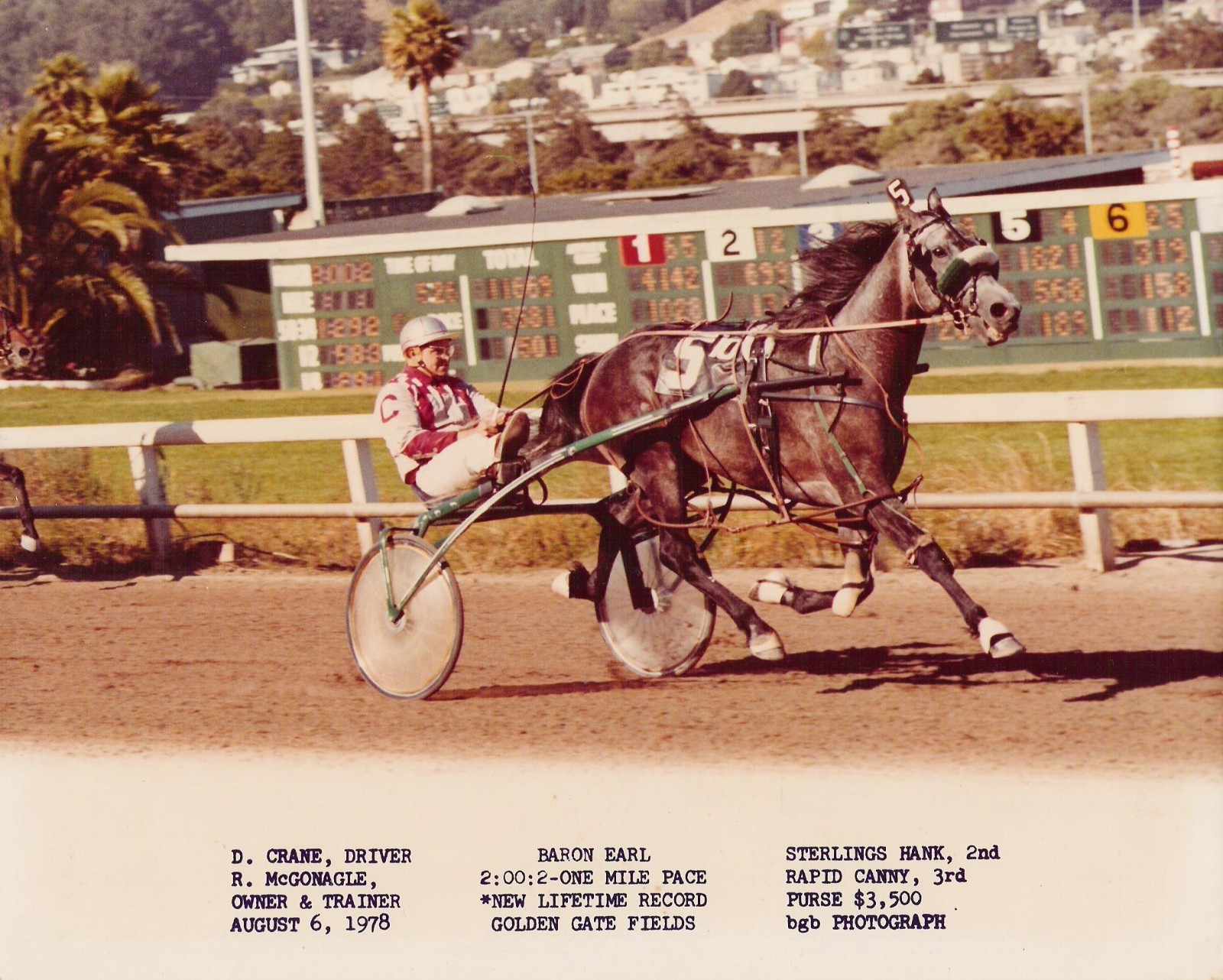 HarnessRacing.WS INTERNET DOMAIN HARNESS HORSE RACING STANDARDBRED HORSE HISTORY