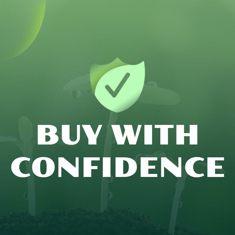 eBay Mobile Responsive Templates eBay Listing Auction Template HTTPS Secure