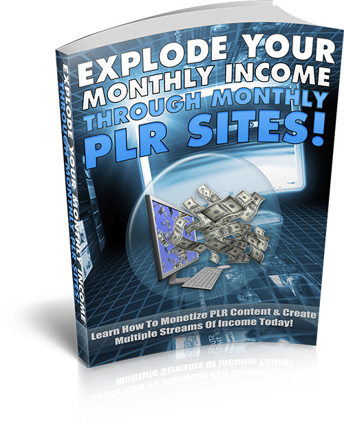 Selling PLR E books, Guides & Courses Plus Splash Pages Make Cash Online Bundle