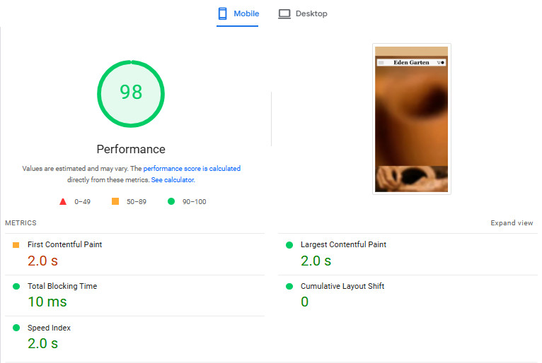 speed up wordpress shopify wix website on google pagespeed insights