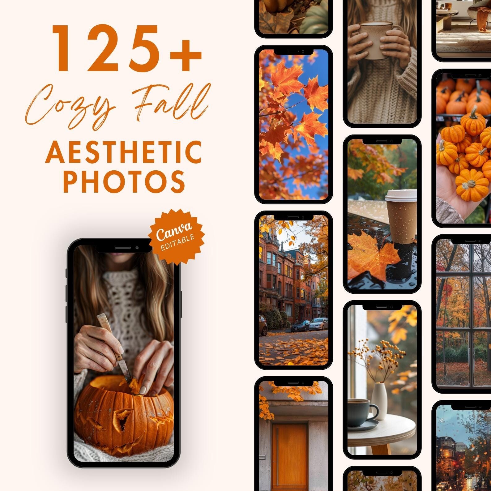 350+ Cozy Fall Aesthetic Faceless Reels – MRR Bundle