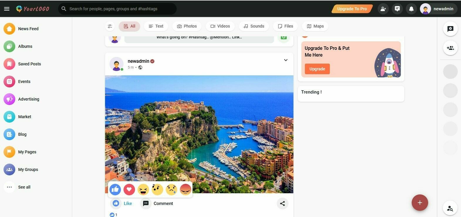 Online Social Network Website + Free Install + Hosting