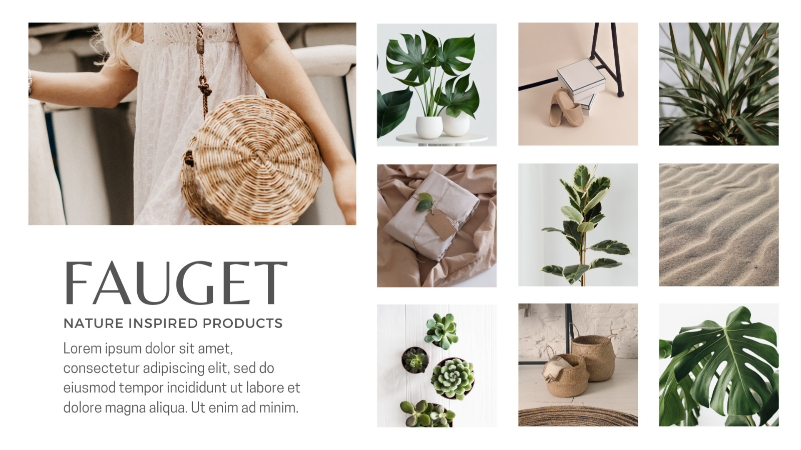 WP Theme-Blog website -Plant-based Products Presentation -Canva Template