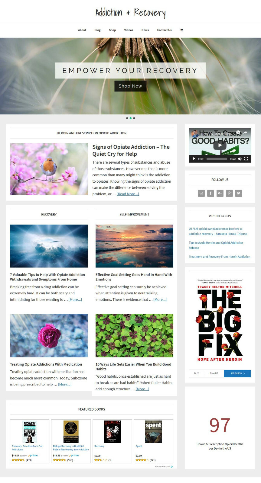 * RECOVERY & ADDICTION * store blog website business for sale with AUTO CONTENT