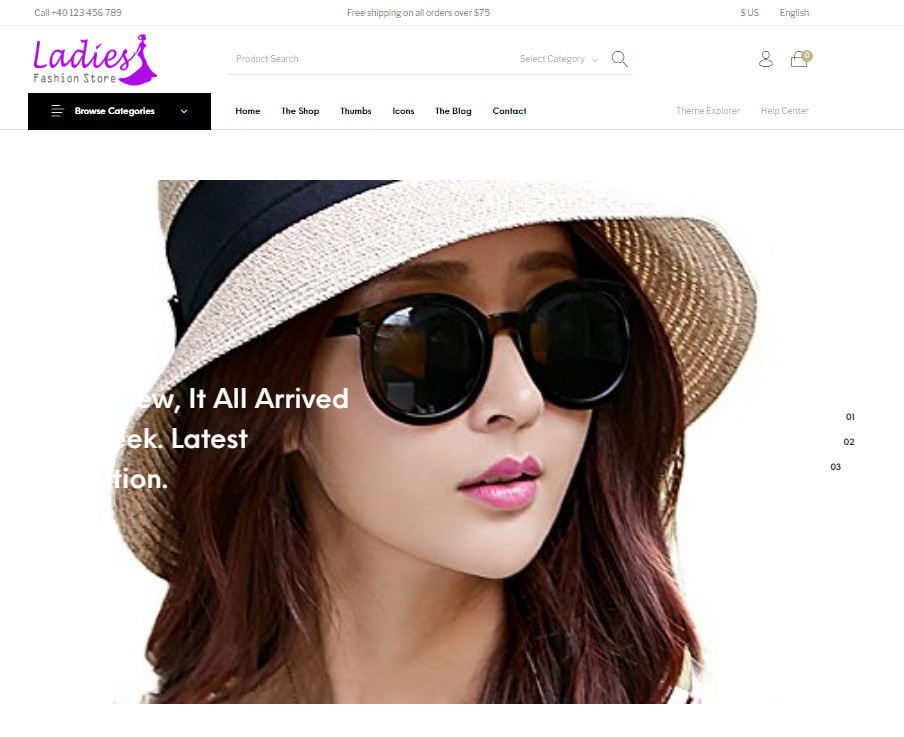Ready made Drop shipping website Free hosting & set up , Ladies Fashion Stores