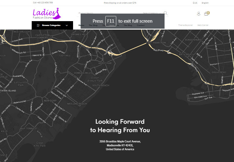 Ready made Drop shipping website Free hosting & set up , Ladies Fashion Stores