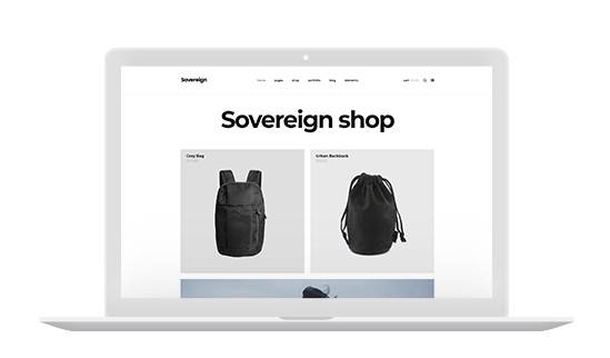 Automotive eBay Store, Customized Listing Template, Logo Design, Video Package