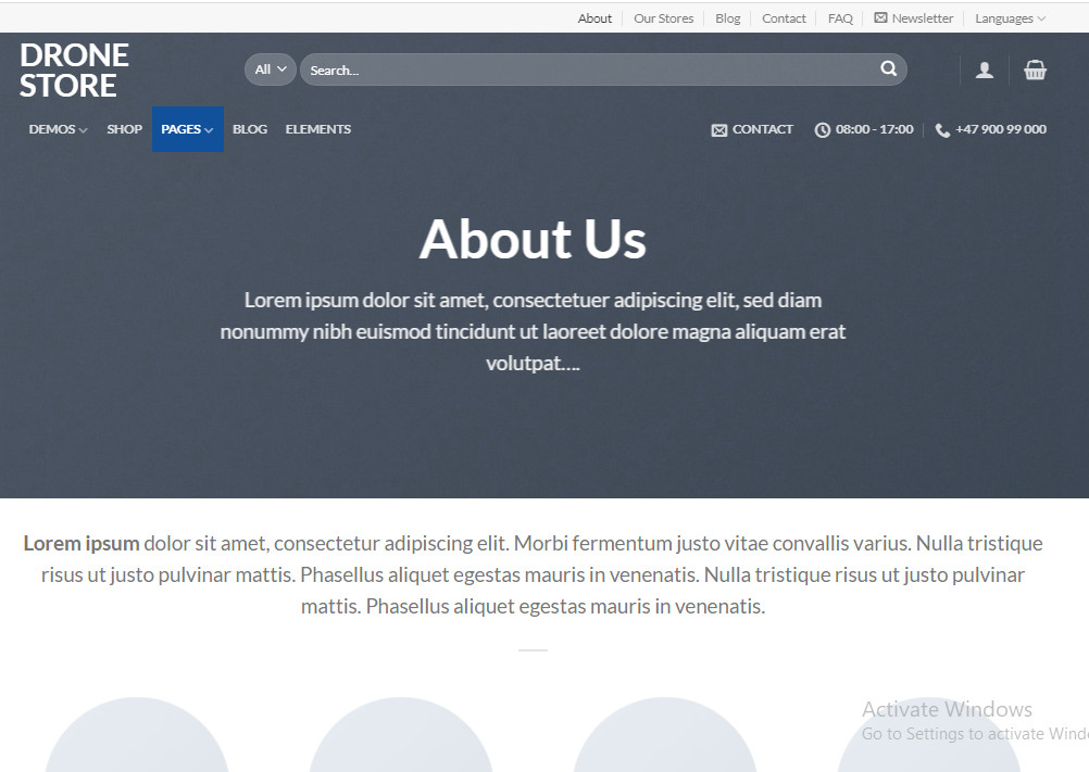 Flying Drones Store Turnkey Dropshipping Readymade Website Free hosting & set up