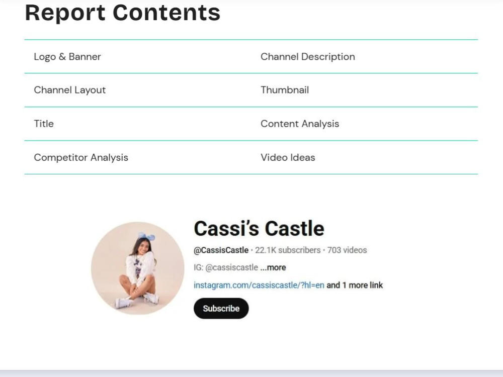 Channel audit and customized Strategy to grow (PDF)