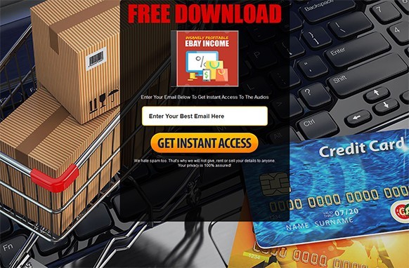 Insanely Profitable Ebay Income Audio Course