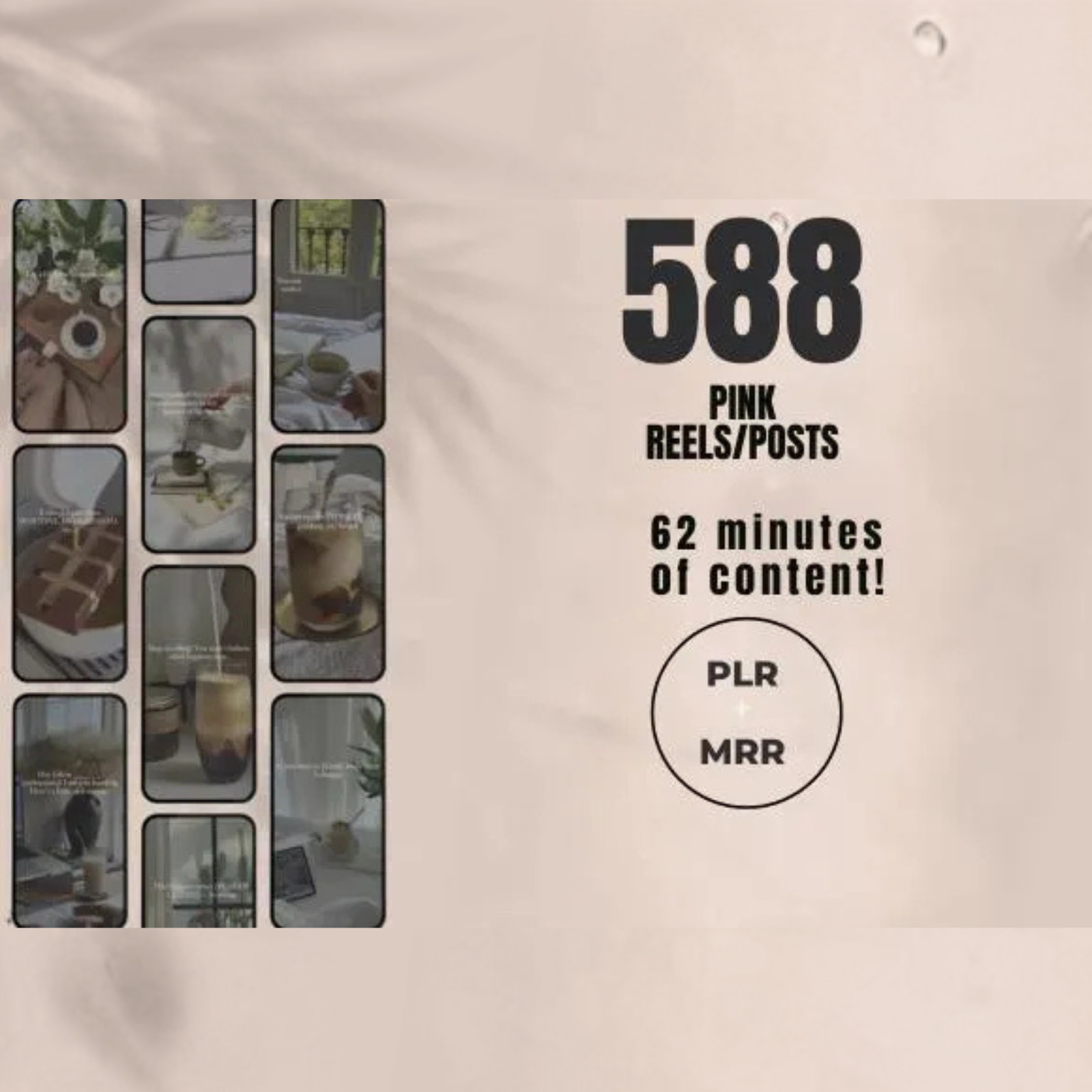 5060 Faceless Videos |MRR Faceless Digital Marketing Videos
