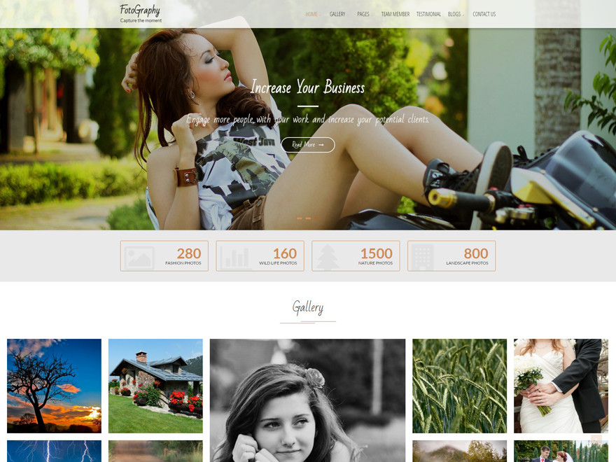 Premium WordPress, HTML, CSS 1000+ Responsive Themes Templates Full Sites
