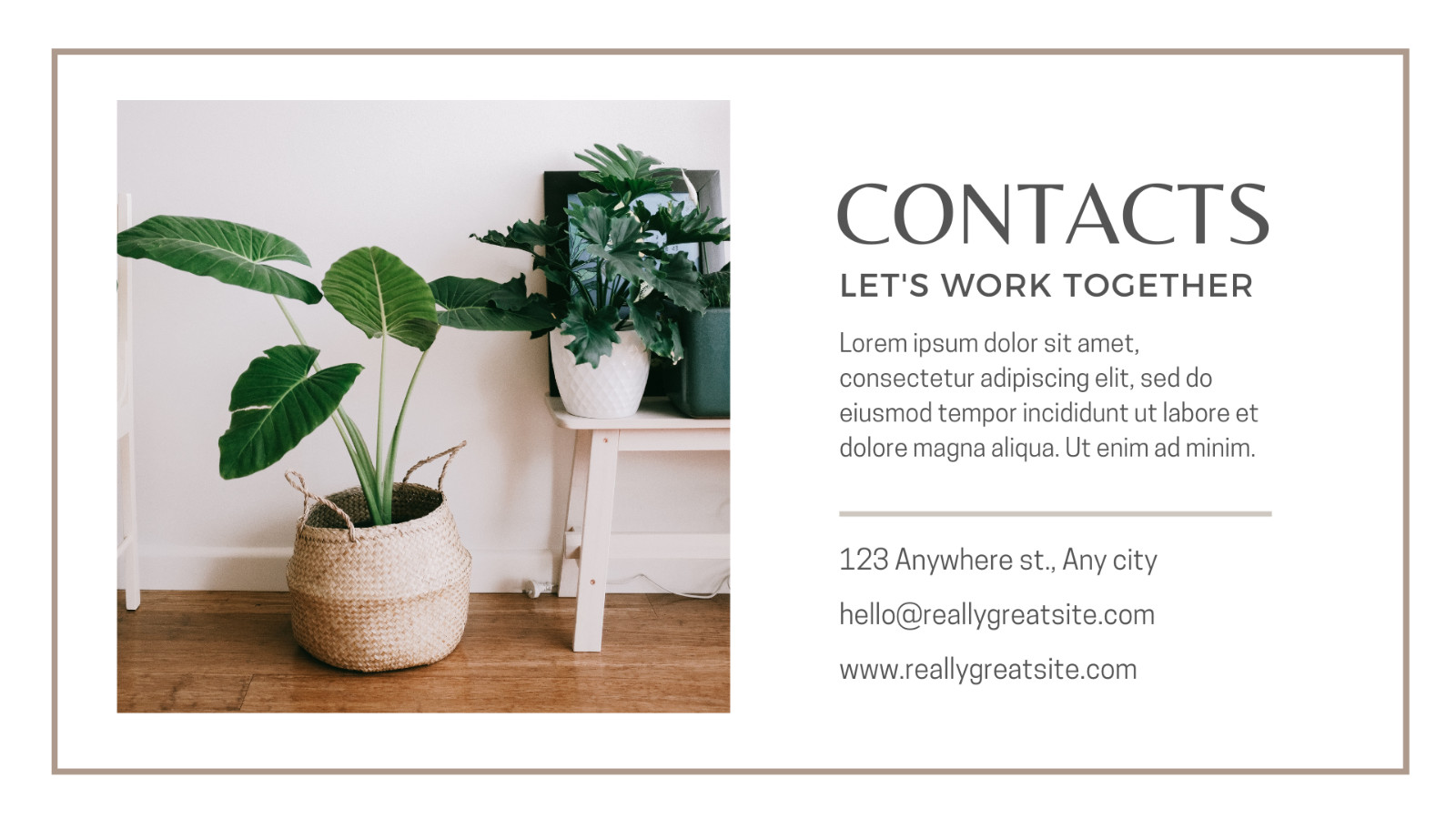 WP Theme-Blog website -Plant-based Products Presentation -Canva Template