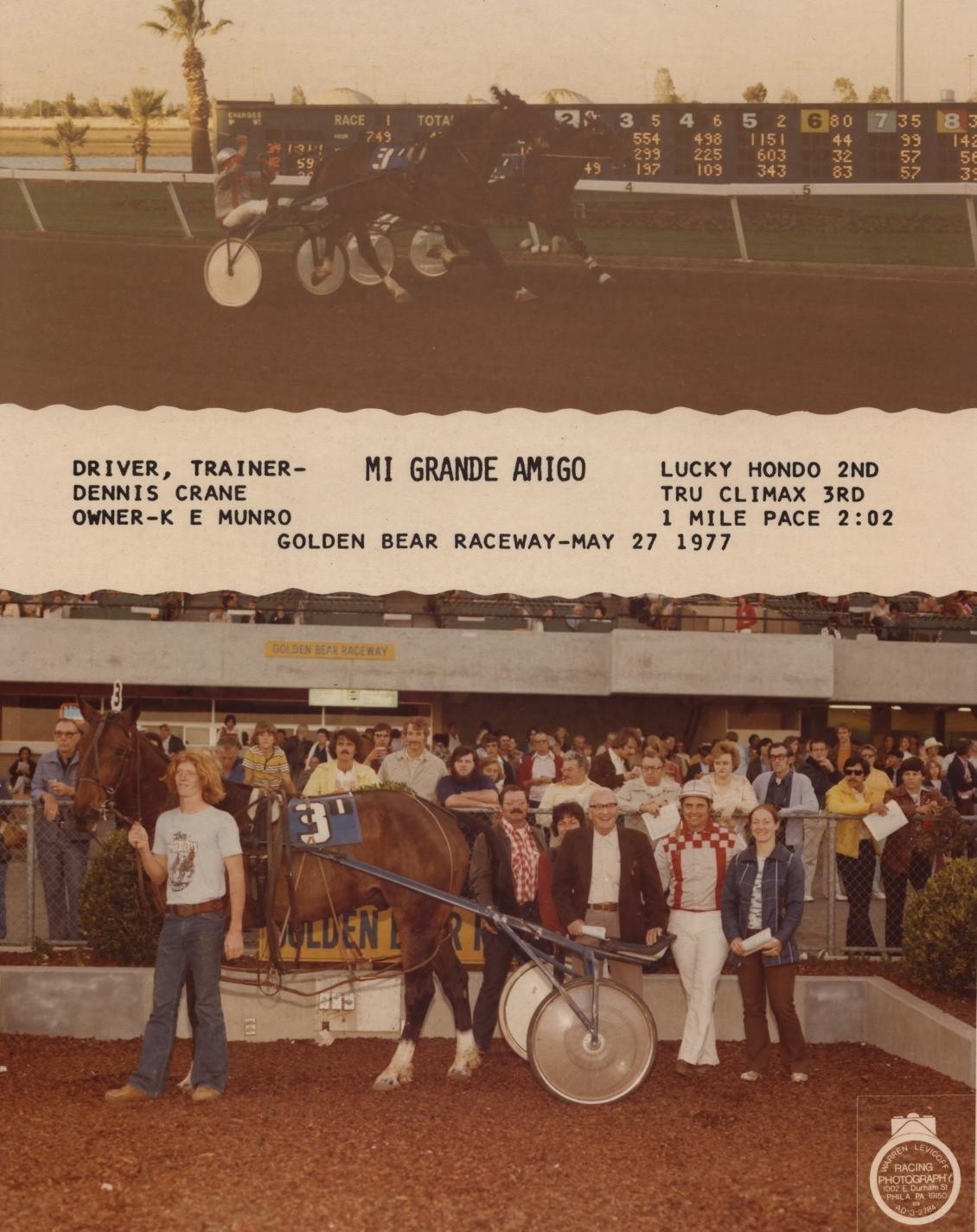 HarnessRacing.WS INTERNET DOMAIN HARNESS HORSE RACING STANDARDBRED HORSE HISTORY