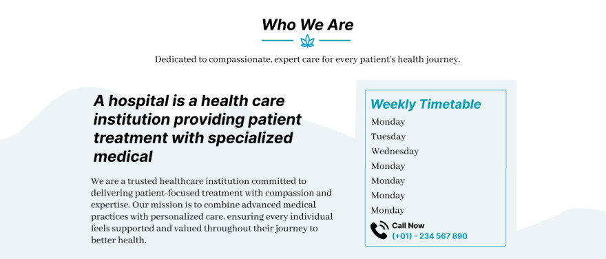Medical Hospital Website Template | Healthcare Landing Page | Doctor Clinic