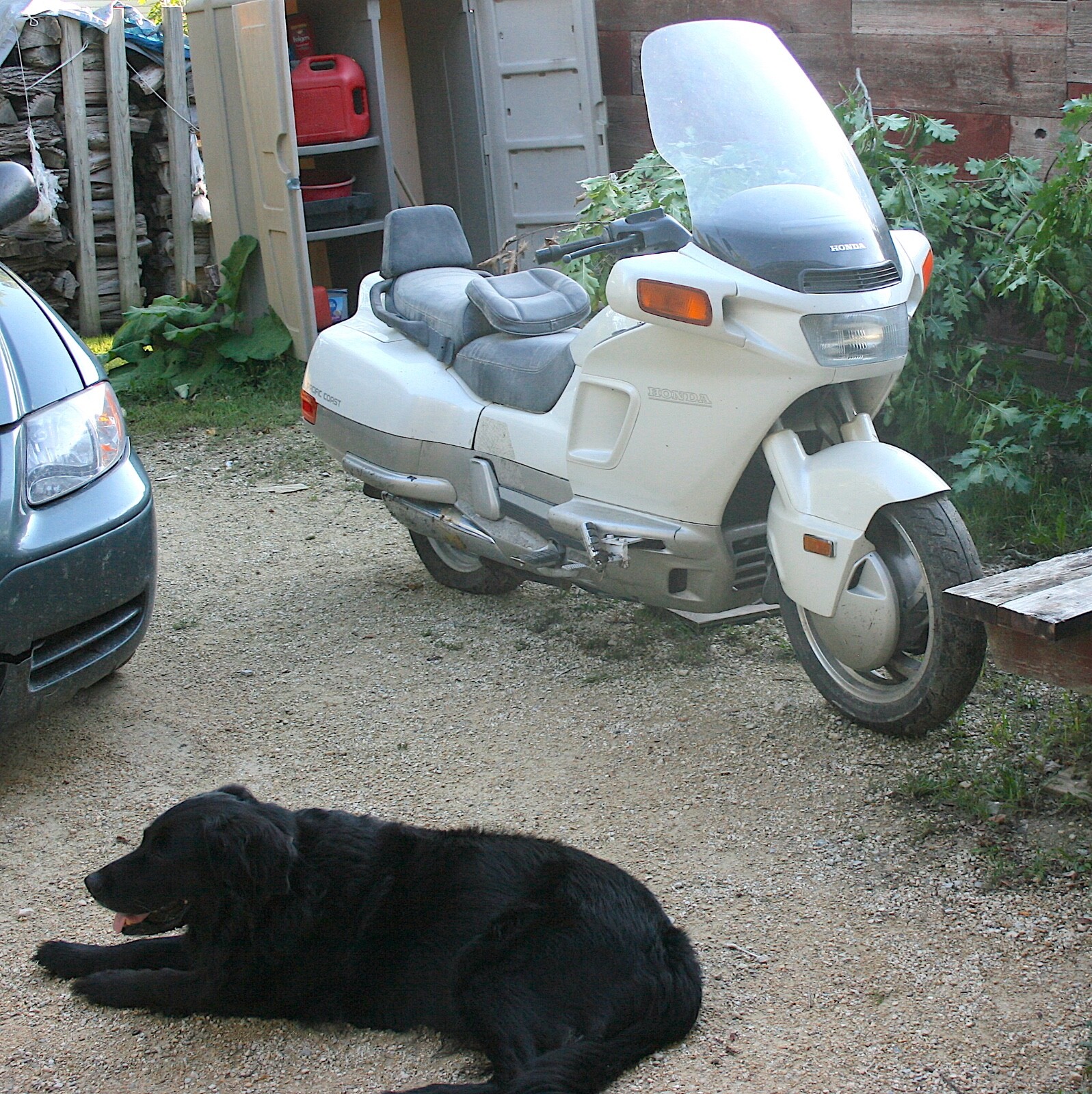 Established Ebay Business for SALE! Used motorcycle parts. $100,000 in inventory
