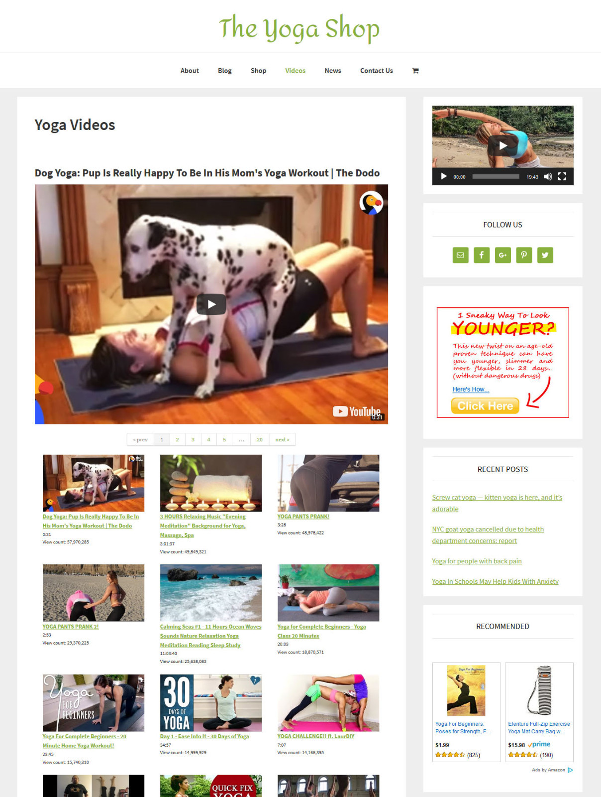 [NEW DESIGN] * YOGA * store blog website business for sale turnkey AUTO CONTENT