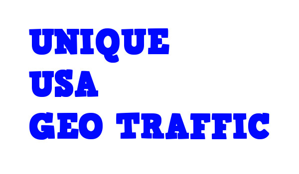 15,000 Real USA Organic TRAFFIC from Search Engine Referrals & 4 Keywords