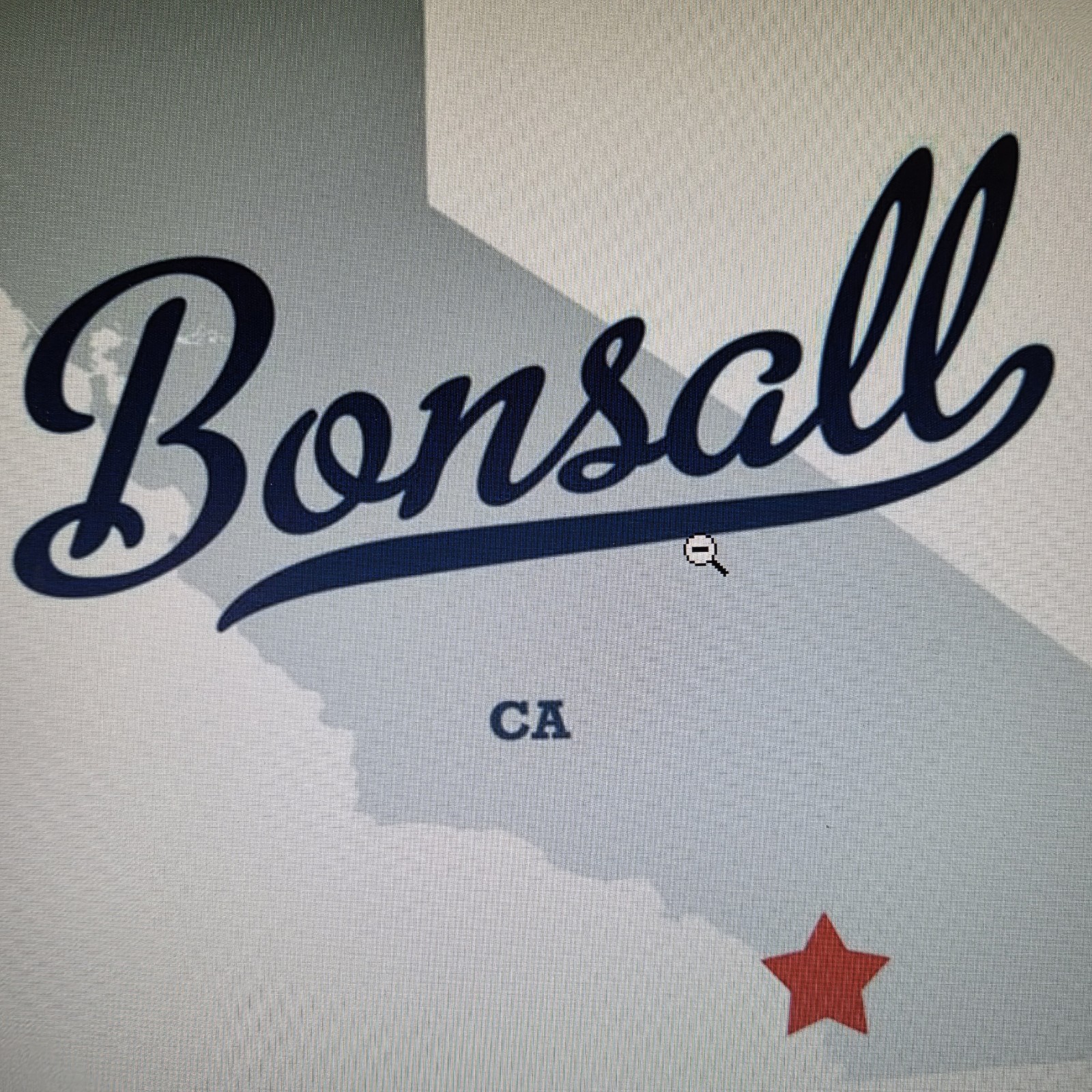 Toll Free 800 Vanity Number 855- BONSALL ideal for real estate California
