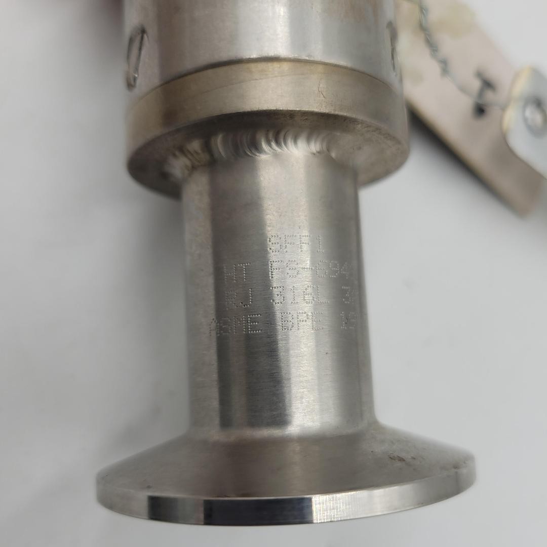 T316 stainless steel 3A sanitary SFF1 check