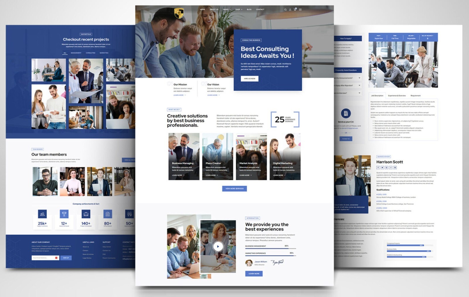 CUSTOM PROFESSIONAL WEBSITE FOR CONSULTING SERVICES AND AGENCIES WORDPRESS